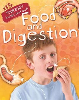 digestive system homework ks2