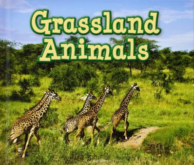 Grassland habitats | TheSchoolRun