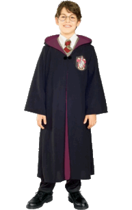 Harry potter world book day