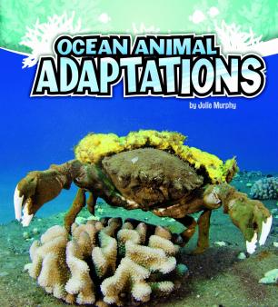 Animal adaptation | TheSchoolRun