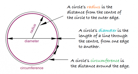 Circumference, radius and diameter explained | Circles in primary ...