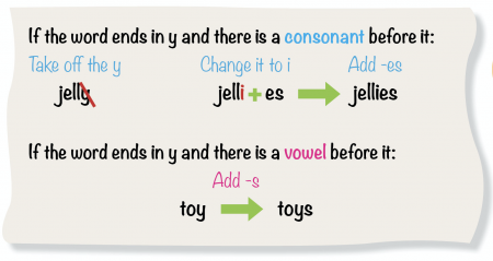 What are singular and plural? | TheSchoolRun