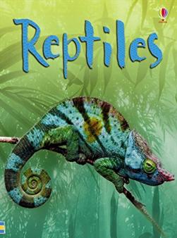 Reptiles | TheSchoolRun