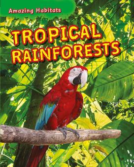 Rainforest habitats | TheSchoolRun