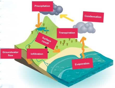 examples of condensation for kids