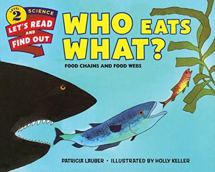 marine food web for kids